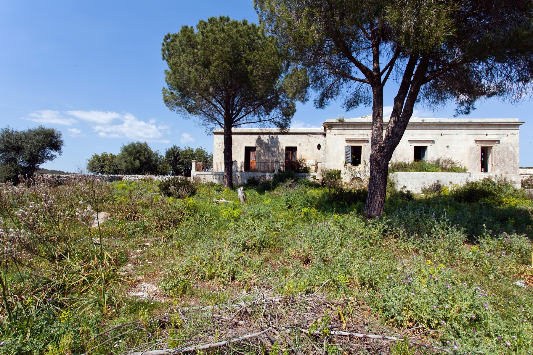 Casa indipendente di lusso in vendita a Noto Contrada Lenzavacche TrovoCasa Pregio W6247163 Casa indipendente di lusso in vendita a Noto Contrada Lenzavacche TrovoCasa Pregio W6247163