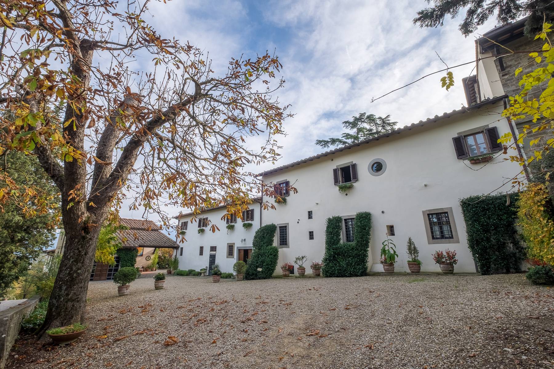 Villa in Vendita a Rignano Sull'Arno: 5 locali, 3000 mq - Foto 3