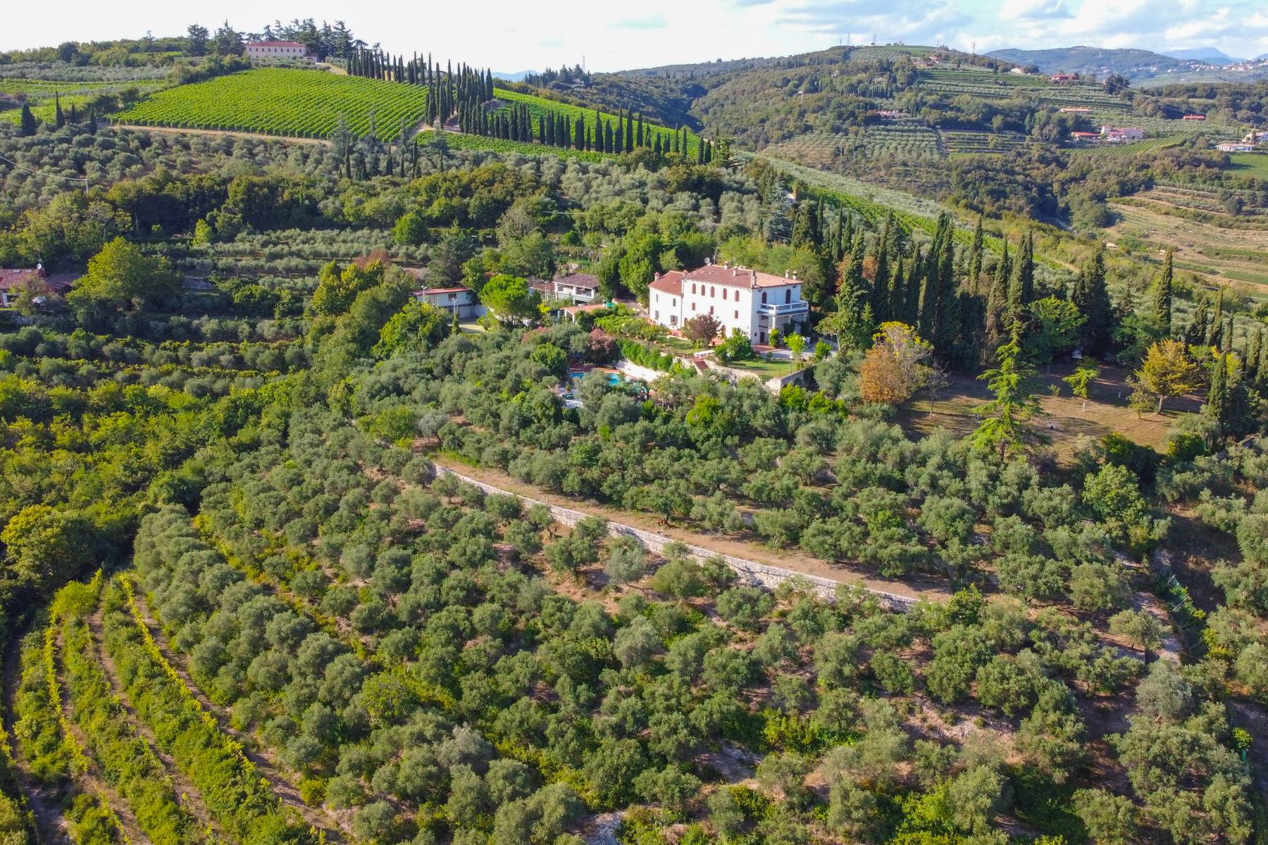 Villa in Vendita a San Martino Buon Albergo: 5 locali, 900 mq - Foto 1