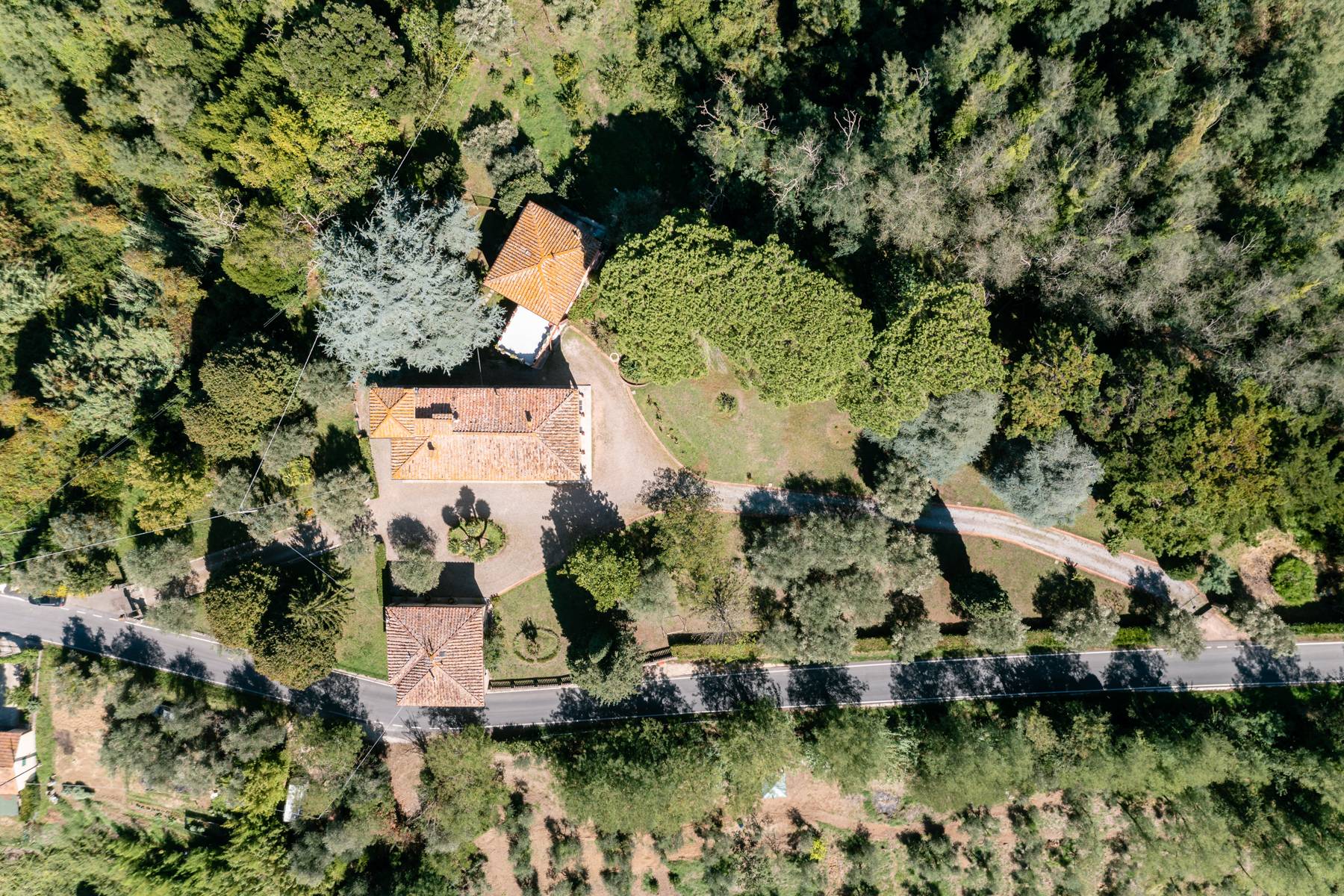 Villa in Vendita a Crespina Lorenzana: 5 locali, 900 mq - Foto 1
