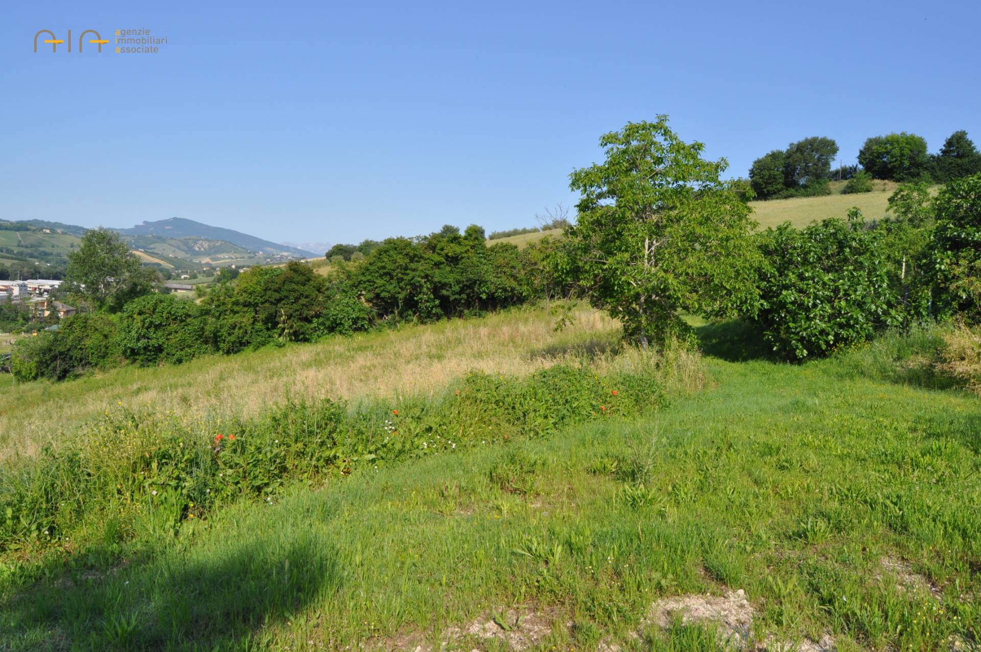 Terreno Agricolo In Vendita A Offida Cod 29695