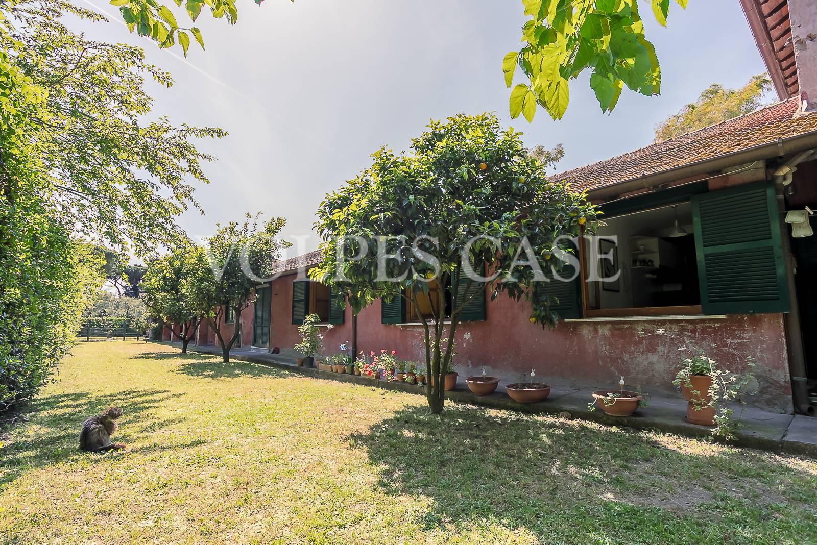 Villa ROMA vendita  Pisana  Volpes Case srl