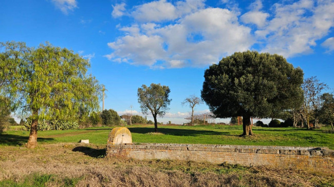 Terreno edificabile in vendita a Anguillara Sabazia in zona 