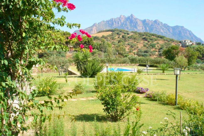 Villino a schiera in vendita a Tertenia in zona 