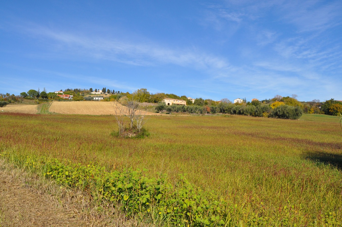 Rustico - Cascina MONSAMPOLO DEL TRONTO vendita  Collinare  Abitare Gruppo Immobiliare