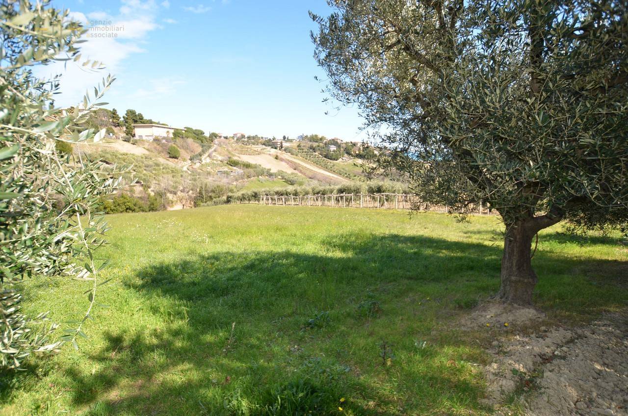 Rustico - Cascina ACQUAVIVA PICENA vendita  Collinare (esposizione verso il mare)  La Mer