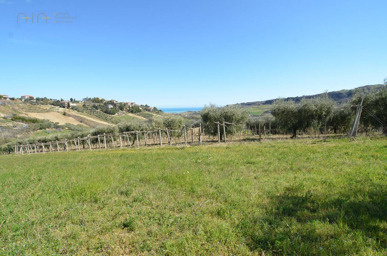 Rustico - Cascina ACQUAVIVA PICENA vendita  Collinare (esposizione verso il mare)  La Mer