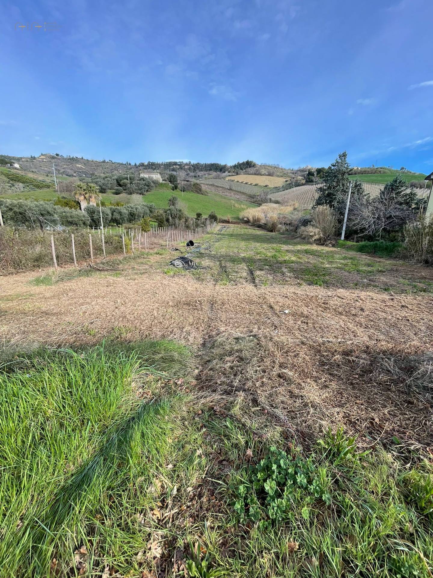 Terreno agricolo in vendita a Val Tesino, Ripatransone (AP)