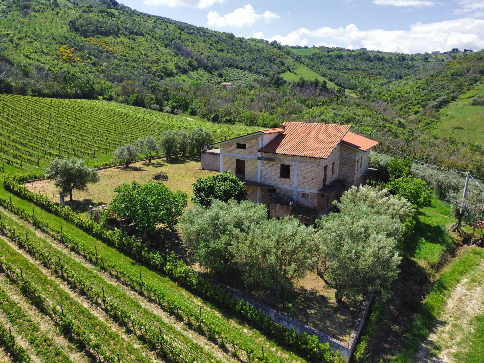 Foto - Casale Colonico Rustico In Vendita A Controguerra, Collinare