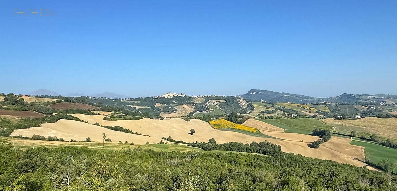 Terreno Agricolo (con / Senza Piccolo Prefabbricato) in vendita a Force