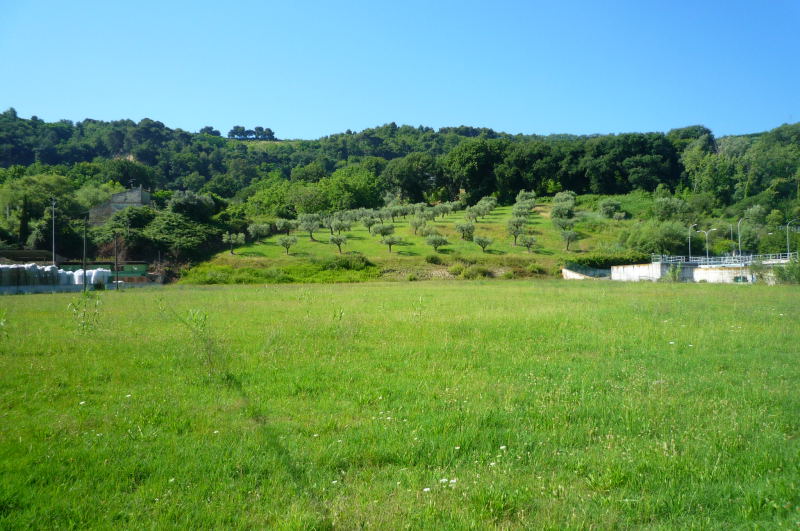 Terreno agricolo in affitto a Grottammare (AP)