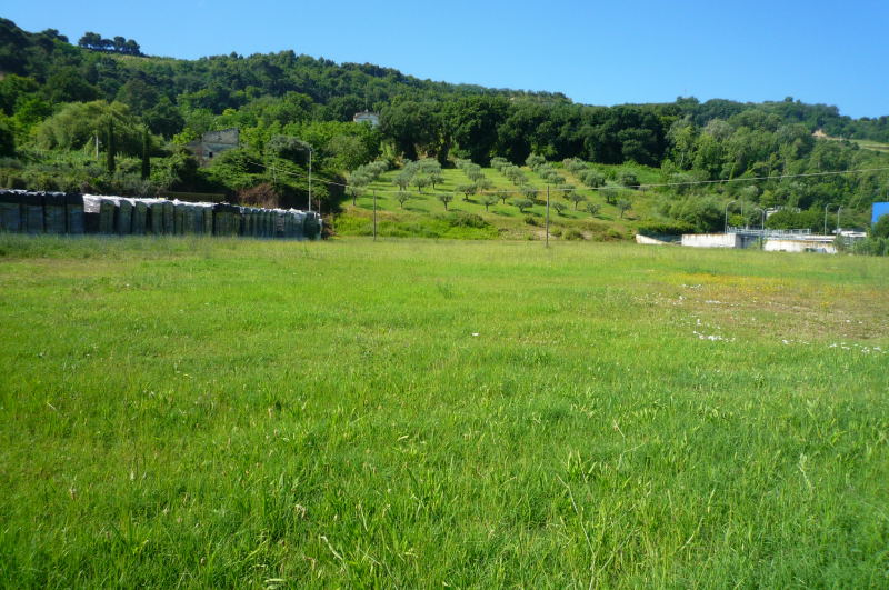 Terreno agricolo in affitto a Grottammare (AP)