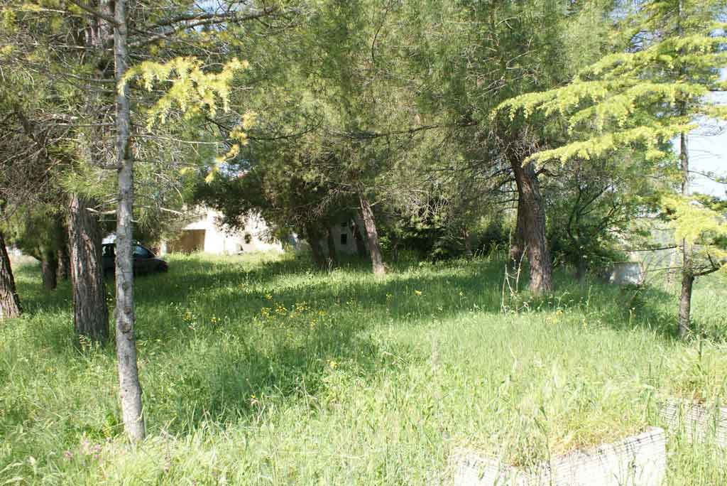 Rustico - Cascina RIPATRANSONE vendita  Collinare  La Mer