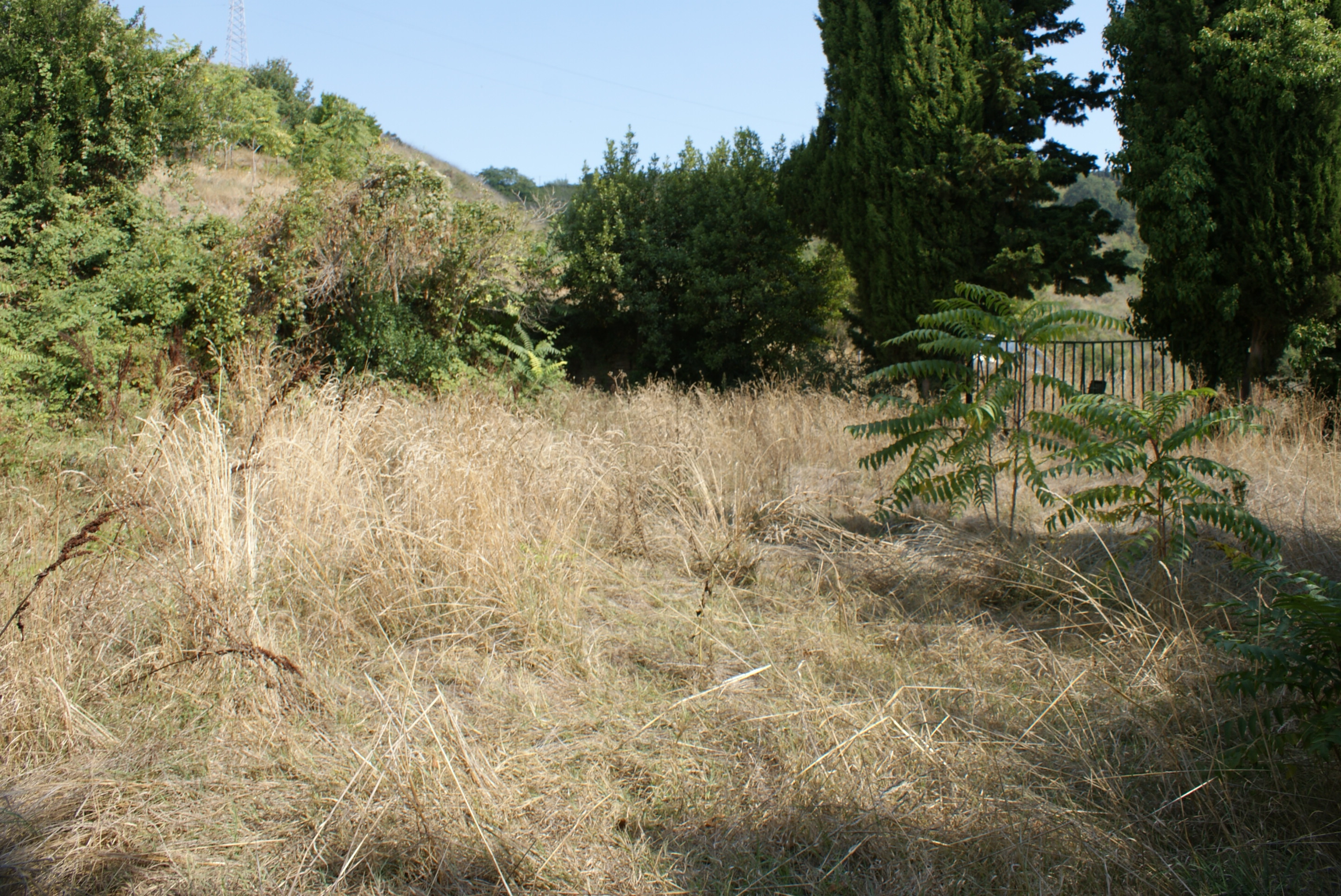 Rustico - Cascina MONTEPRANDONE vendita  Collinare  La Mer