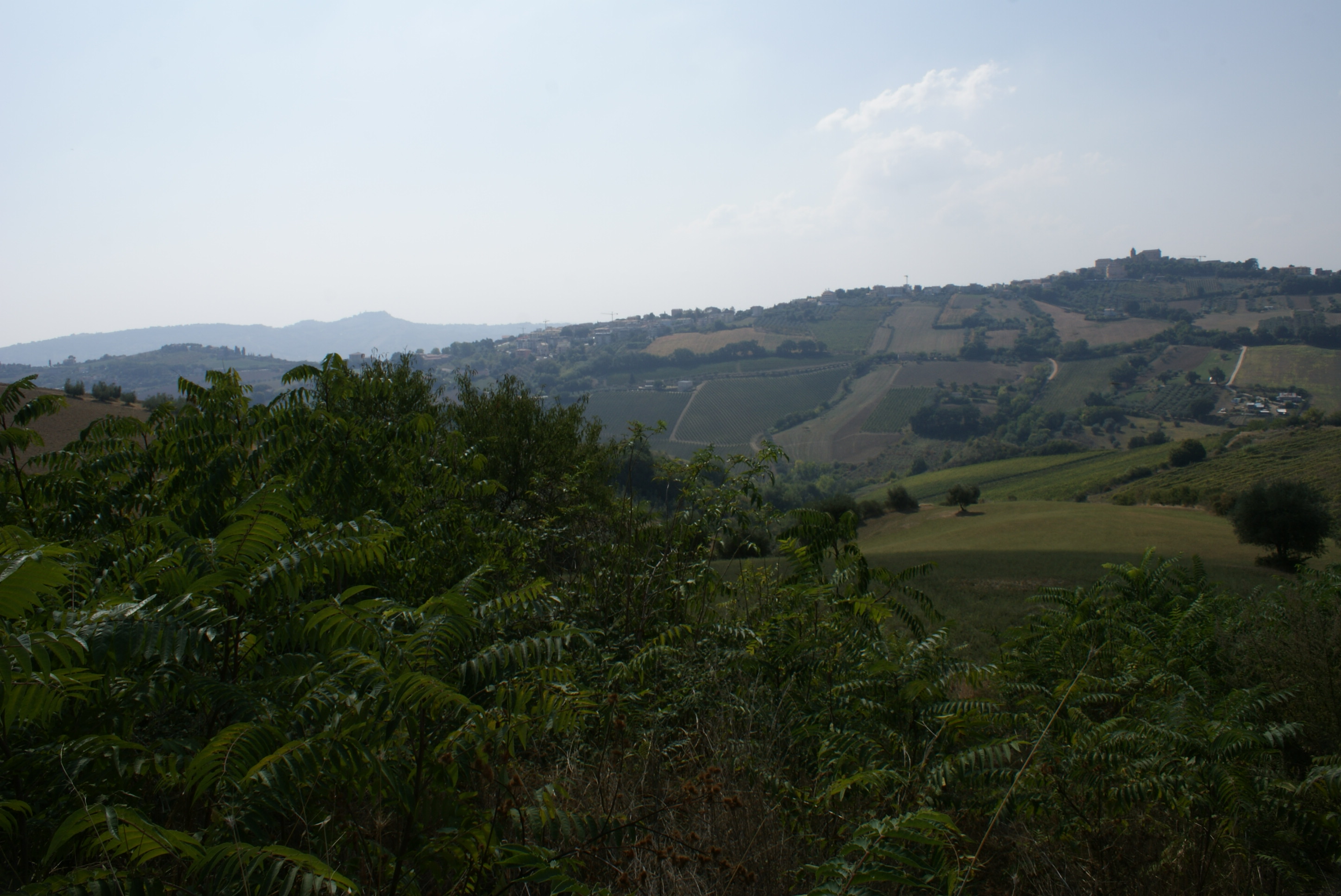 Rustico - Cascina MONTEPRANDONE vendita  Collinare  La Mer