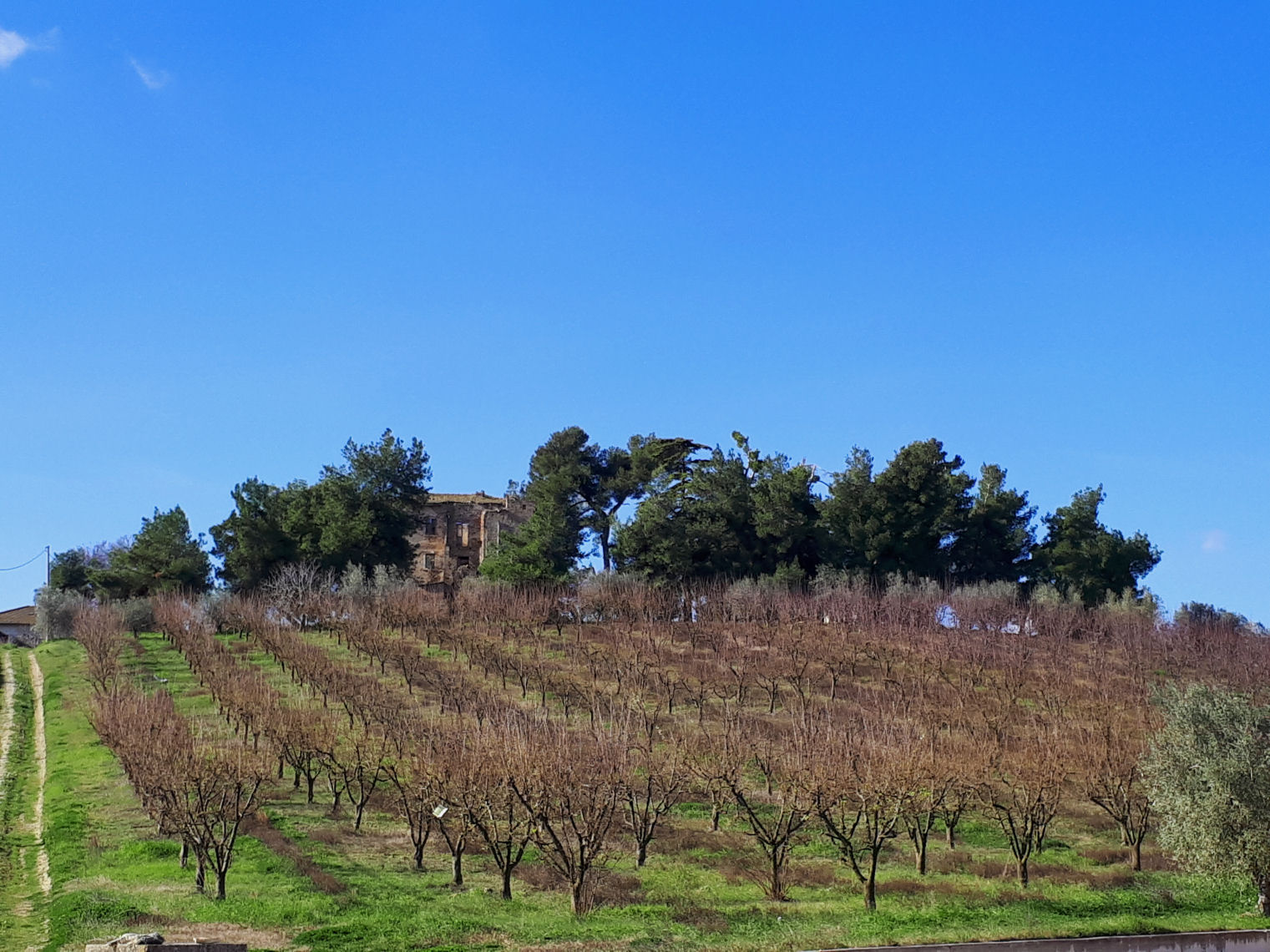 Rustico - Cascina APPIGNANO DEL TRONTO vendita  Collinare  Abitare Gruppo Immobiliare