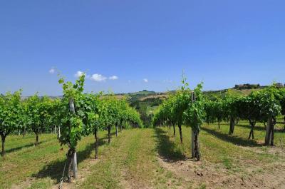 Casa cielo - terra in vendita a Cossignano