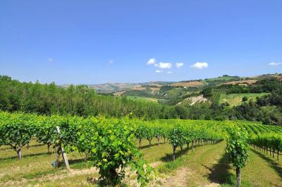 Casa cielo - terra in vendita a Cossignano