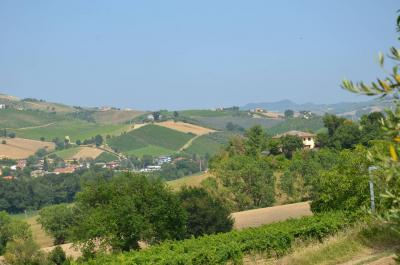 Casale Colonico in vendita a Castignano