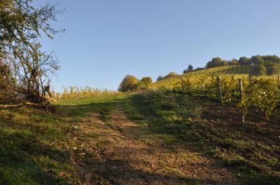 Casale Colonico in vendita a Ripatransone