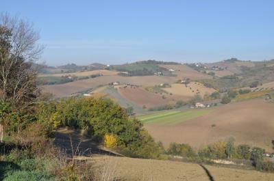 Casale Colonico in vendita a Ripatransone