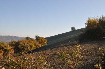 Casale Colonico in vendita a Ripatransone