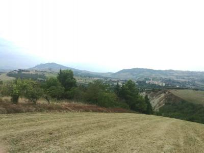 Terreno agricolo in vendita a Appignano Del Tronto (AP)