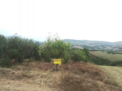 Terreno agricolo in vendita a Appignano Del Tronto (AP)