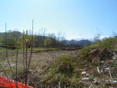 Terreno Edificabile Artigianale / Industriale in vendita a Comunanza