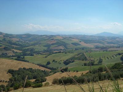 Casale Colonico in vendita a Montefiore dell'Aso