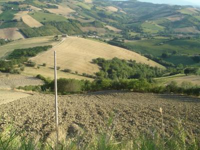 Casale Colonico in vendita a Montefiore dell'Aso