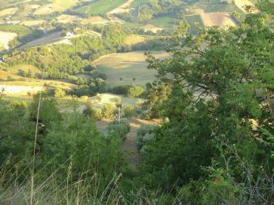 Casale Colonico in vendita a Montefiore dell'Aso