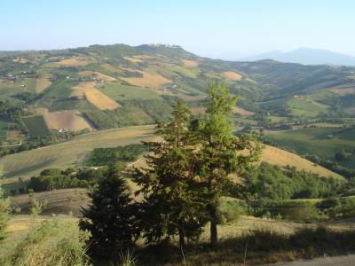 Casale Colonico in vendita a Montefiore dell'Aso