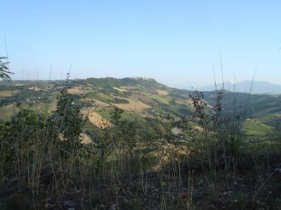 Casale Colonico in vendita a Montefiore dell'Aso