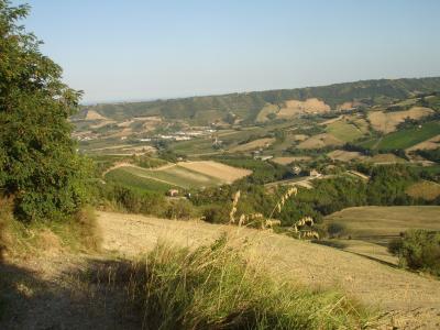 Casale Colonico in vendita a Montefiore dell'Aso