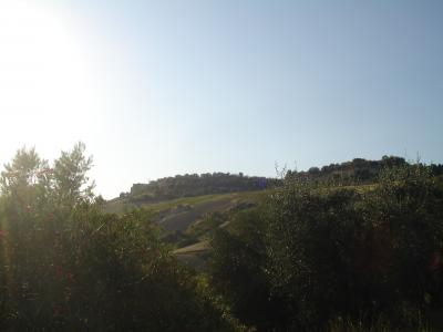 Casale Colonico in vendita a Montefiore dell'Aso