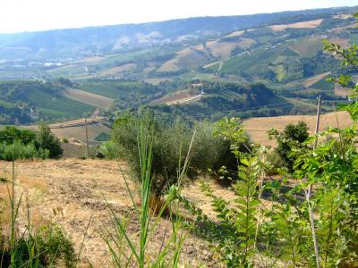 Casale Colonico in vendita a Montefiore dell'Aso