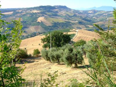 Casale Colonico in vendita a Montefiore dell'Aso