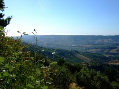 Casale Colonico in vendita a Montefiore dell'Aso