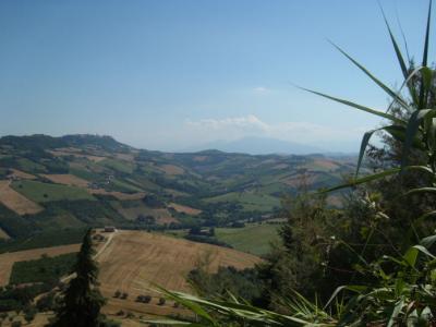 Casale Colonico in vendita a Montefiore dell'Aso