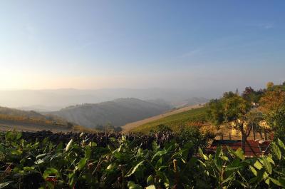 Casa cielo - terra in vendita a Ripatransone