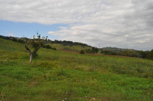 Terreno Agricolo in vendita a Spinetoli