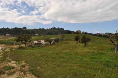 Terreno Agricolo in vendita a Spinetoli