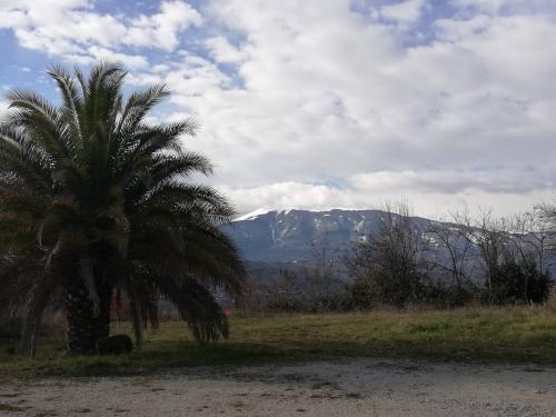 Terreno Edificabile Residenziale in vendita a Castel di Lama