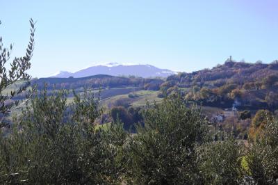 Casale Colonico in vendita a Castignano