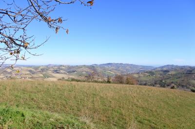 Casale Colonico in vendita a Castignano