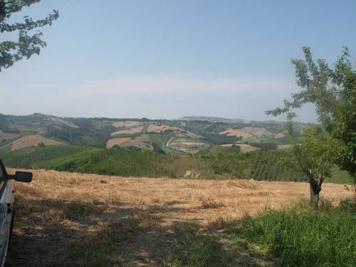 Terreno Agricolo in vendita a Ripatransone