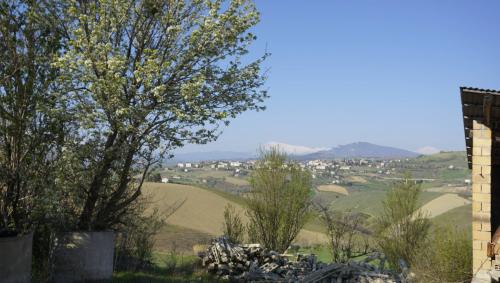 Casale Colonico in vendita a Offida