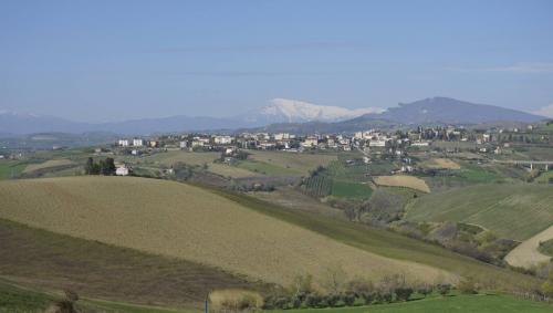 Casale Colonico in vendita a Offida