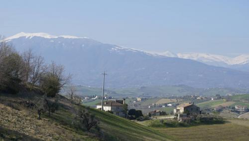 Rustico in vendita a Borgo Miriam, Offida (AP)